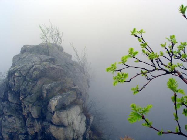 Zen Story Japanese Zen Buddhism